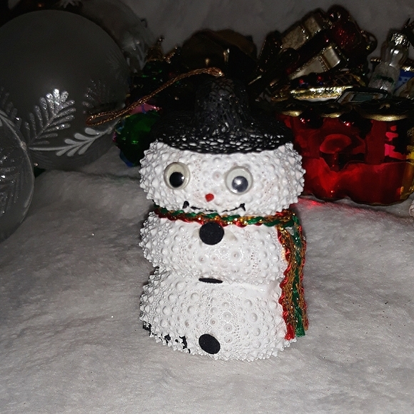 snowman made from 3 sea urchins has an adorable stubby spike body & googly eyes - Picture 1 of 7